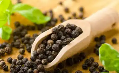 Black Pepper Extract (Piperine): Bioavailability, Absorption, and Cognitive Efficiency Black Pepper Extract (Piperine): Bioavailability, Absorption, and Cognitive Efficiency