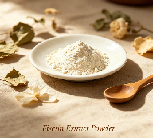 What does fisetin do to your body? What does fisetin do to your body?