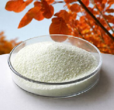 How Fisetin Works: The Science Behind Senolytics and Aging How Fisetin Works: The Science Behind Senolytics and Aging