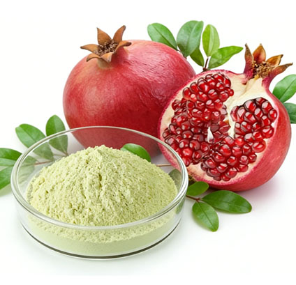 Urolithin A Benefits for Mitochondrial Health and Longevity Urolithin A Benefits for Mitochondrial Health and Longevity